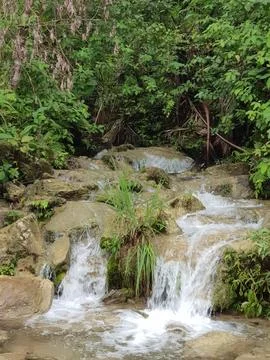 Tranquil Forest Waterfall Stock Photos
