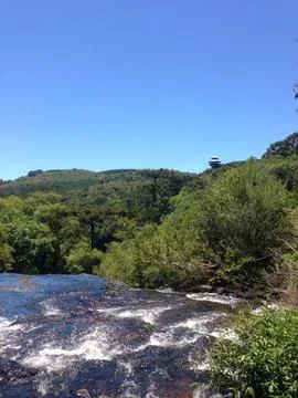 Tranquil forest waterfall scene Stock Photos