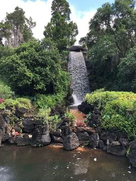 Tranquil forest waterfall scene Stock Photos