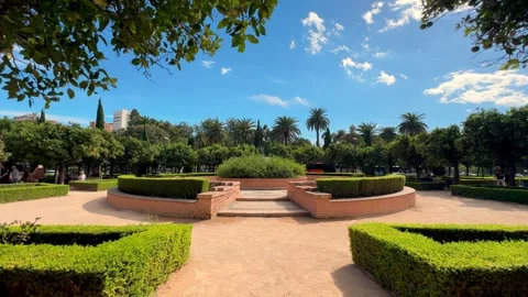 A tranquil garden oasis surrounded by palm trees on a sunny afternoon Video stock 290019829