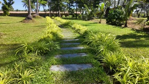 Tranquil Garden Path Amidst Verdant Flora Stock Footage 261160894