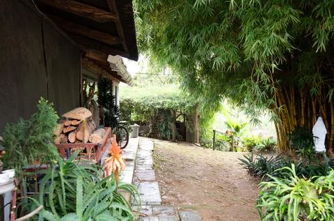 A tranquil garden path winds through lush greenery, leading to peaceful sec.. Stock Photos