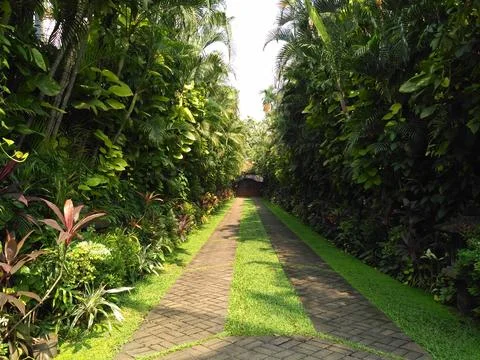 Tranquil Garden Pathway Surrounded by Lush Greenery Stock Photos