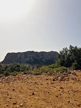 Tranquil high-mountain summit on a clear, sunlit day, where weathered grasses Stock Photos