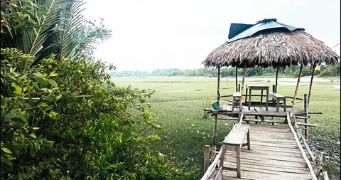 Tranquil holiday nature mood with soft winter branches. Peaceful garden Stock Footage 321136877