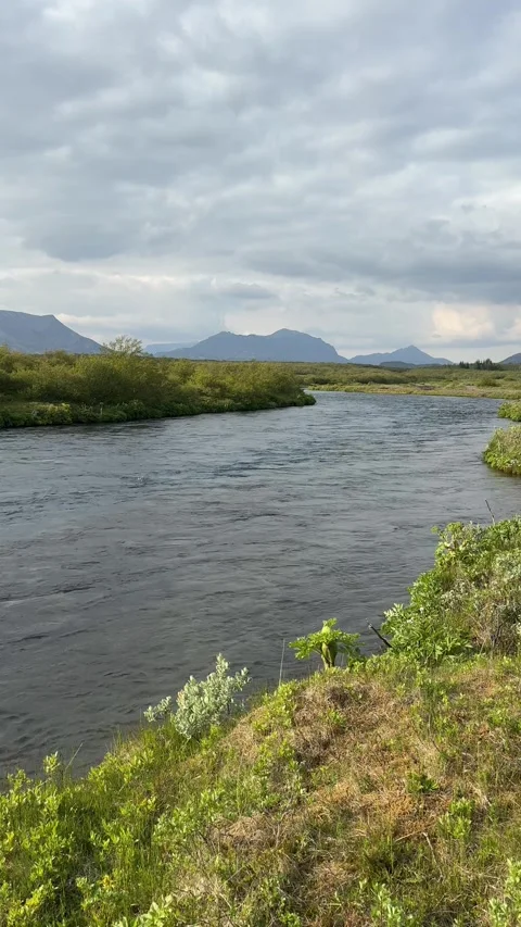 Tranquil Icelandic river winding through lush summer greenery with distant Stock Footage 312232955