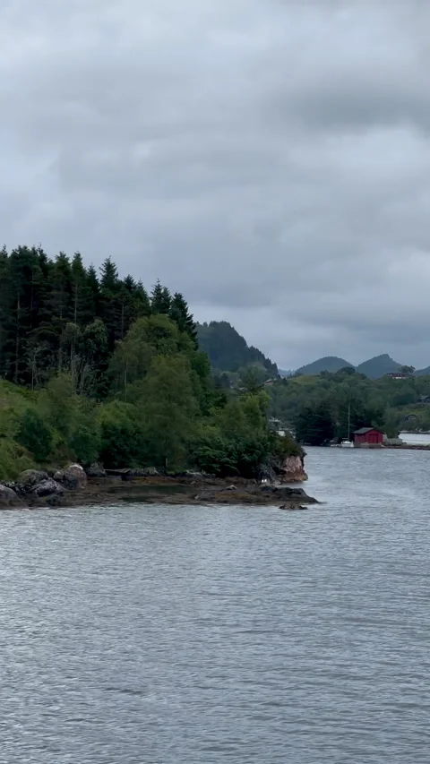 This tranquil image features a calm waterway bordered by lush greenery Stock Footage 314094566