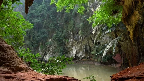 Tranquil lagoon surrounded by limestone cliffs and foliage of exotic trees Video stock 94326873