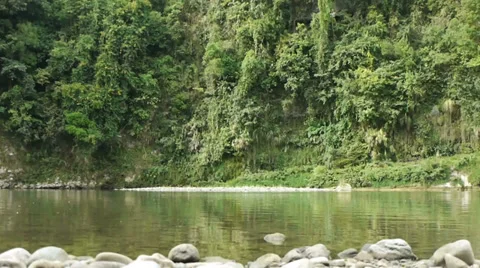 A tranquil lake amidst a forest. Stock Footage 32720250