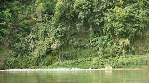 A tranquil lake amidst a forest. Stock Footage 32720253