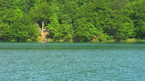 Tranquil lake and forest Stock Footage 40261959