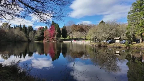 Tranquil Lake with Autumn Stock Footage 303416038