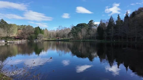 Tranquil Lake with Autumn Stock Footage 303416039