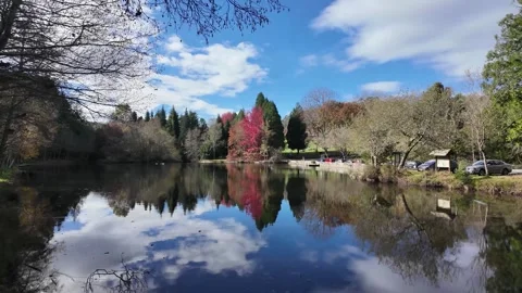 Tranquil Lake with Autumn Stock Footage 303416041