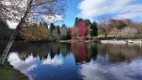 Tranquil Lake with Autumn Stock Footage 303416042