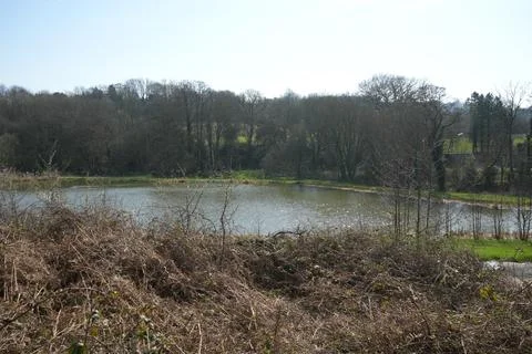 Tranquil Lake With Bare Winter Trees In Barlow, North East Derbyshire, England. 스톡 사진