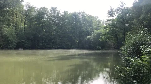 A tranquil lake, beautifully surrounded by lush greenery, is a perfect nature Stock Footage 307351292