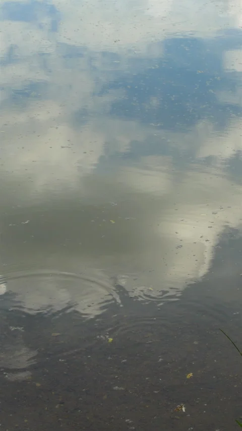 Tranquil Lake With Cloud Reflections. Vertical 스톡 동영상 272177651