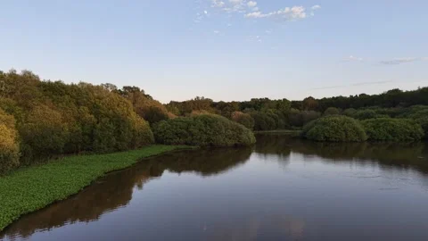 Tranquil Lake in Dense Green Forest Aerial View Stock Footage 342769027