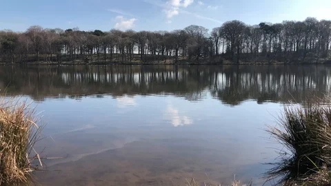 Tranquil Lake Stock Footage 101547711