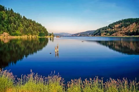 Tranquil lake with forest and fields Stock-Fotos