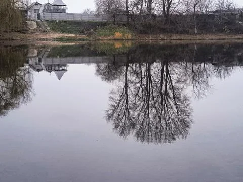 Tranquil lake with mirror-like reflections of leafless trees and cloudy sky.. Stock Photos