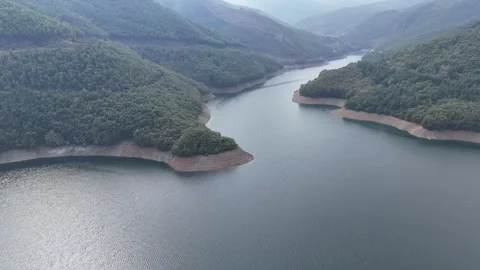 Tranquil lake nestled deep within a foggy forest. Stock Footage 300105074