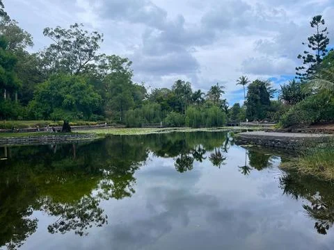 Tranquil lake reflection at Brisbane Botanic Gardens Mount Coot-tha Fotos Stock