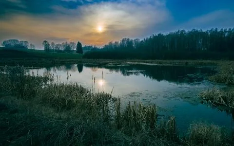Tranquil lake at sunset in early spring with dry reeds and forest reflection Stock Photos
