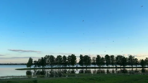 A tranquil lake at sunset with reflections of trees and blue sky Stock-Footage 336104335