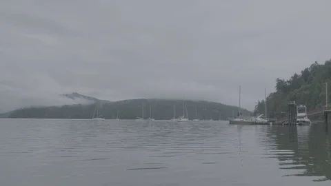 Tranquil lake surrounded by forest with collection of sail boats Stock Footage 127121080