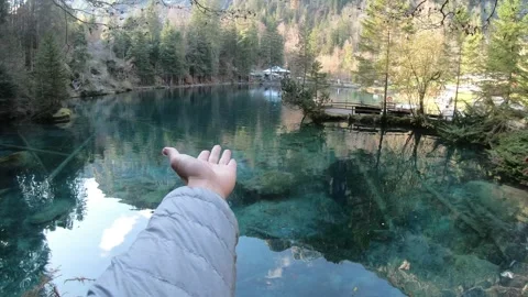 Tranquil Lake Surrounded by Forest in Nature Stock Footage 314786913