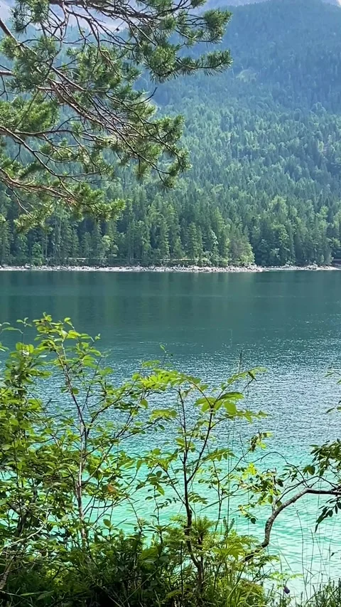 Tranquil Lake Surrounded by Lush Forest in the Mountains on a Sunny Summer Day Stock Footage 314391703