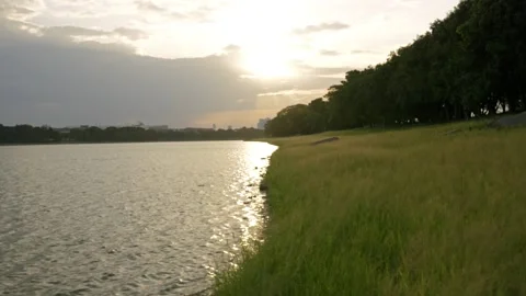Tranquil Lake Surrounded by Lush Greenery at sunset 스톡 동영상 314706706