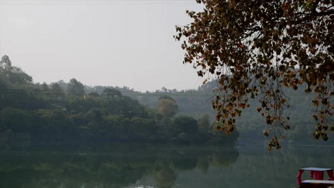 Tranquil Lake With Tree Branches And Forested Hills Reflection 4K Vidéo 346367091