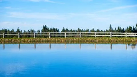Tranquil lake with trees reflected symmetrically in the clean blue water Stock Photos