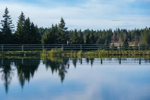 Tranquil lake with trees reflected symmetrically in the clean blue water Stock Photos