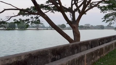 Tranquil lake view with concrete wall and lush tree landscape Stock-Footage 336453350