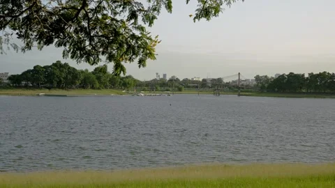 Tranquil Lake View with Distant Bridge – Serene Landscape 스톡 동영상 314705507