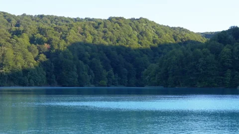 Tranquil Lake View with Forest Stock-Footage 293245278