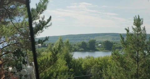 Tranquil lake view framed by vibrant green trees Stock Footage 316320932