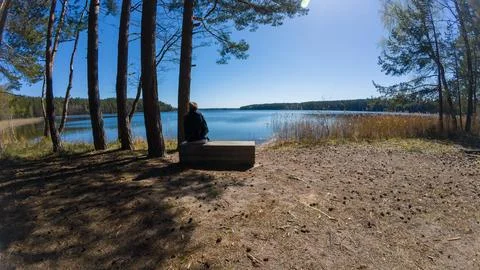 Tranquil Lake View with Pine Trees and Bench Stock Photos