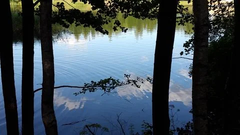 Tranquil lake view with sky reflection framed by dark tree silhouettes Stock Photos