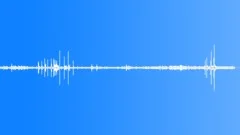 Tranquil Lake - Water BirdsSound Effect