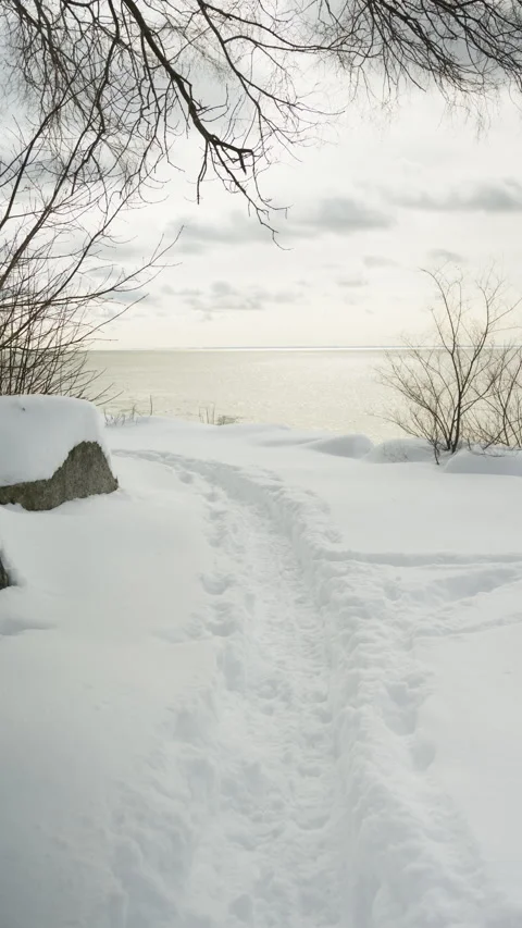 The tranquil lakeside after a heavy snowfall (vertical video) Stock Footage 329042211