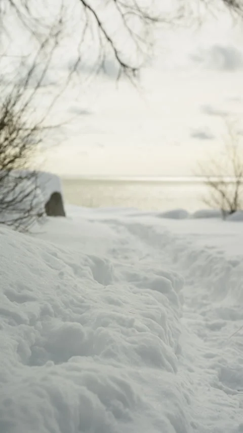 The tranquil lakeside after a heavy snowfall (vertical video) Video stock 329072559