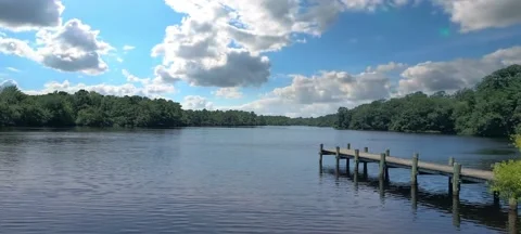 Tranquil Lakeside 動画素材 221450366