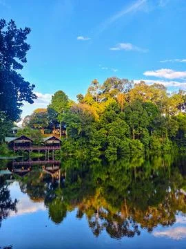 Tranquil Lakeside Forest Cabins Reflected in Calm Water Stock Photos
