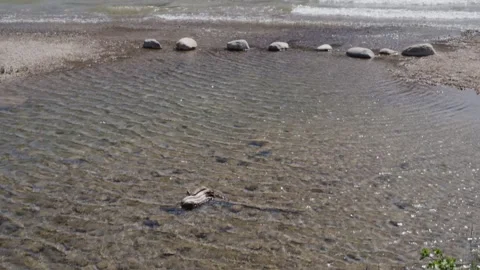 Tranquil Lakeside Pebbles with Gentle Waves and Clear Water Stock Footage 255545392