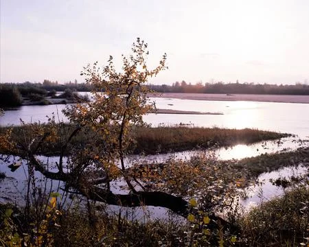 Tranquil Lakeside Reflection Under a Cloudy Sky with Lush Vegetation 스톡 사진